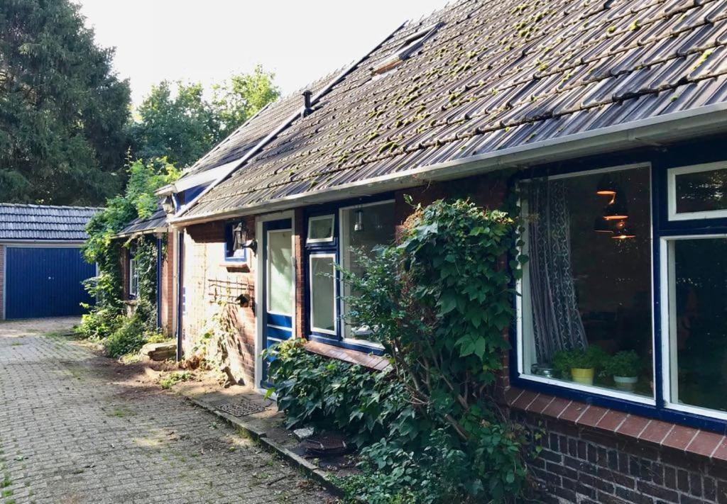 Johanna'S Oostwold (Oldambt) Exterior foto